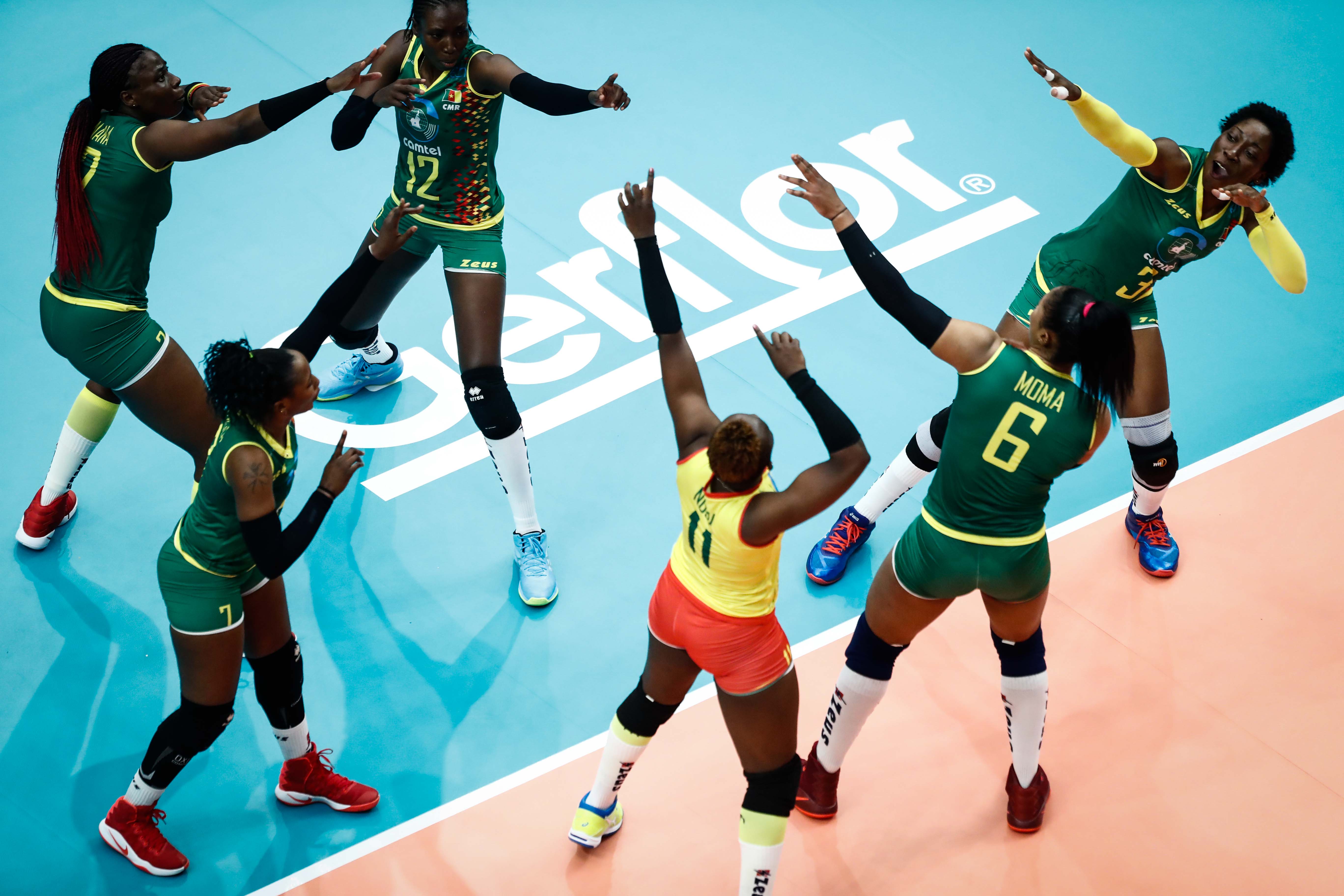 问鼎国际- lolscout 